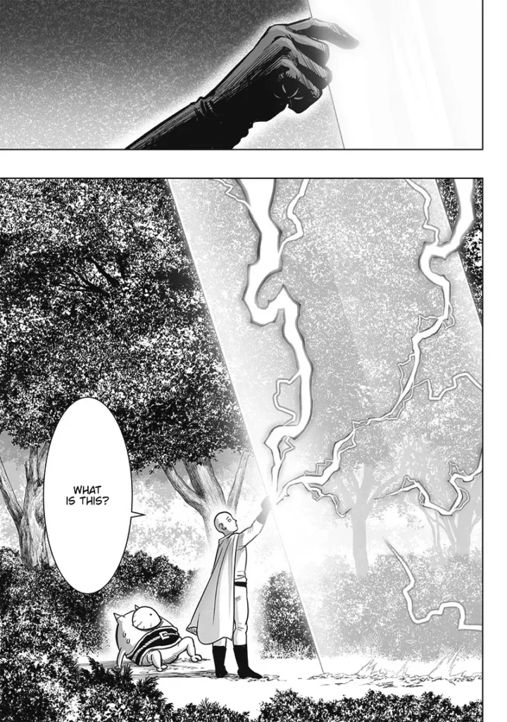 One Punch Man Chapter 209 | Read Full Online Manga 9 one punch man ch209 page09